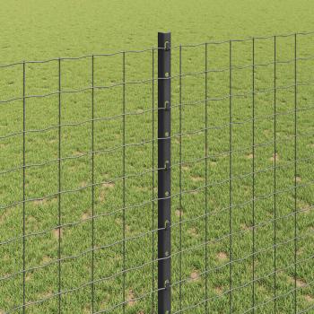 Gartenzaunset 2er Set Grau Metall Standard Langlebig