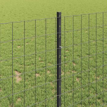 Euro-Zaun mit Pfosten 10 x 1 m PVC-beschichteter Stahl Grau