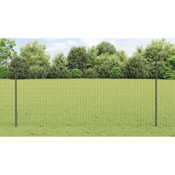 Metall Eurozaun Set aus 2 Grau Metall 25 x 1,2 m Langlebig