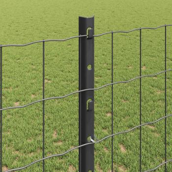 Metall Eurozaun Set aus 2 Grau Metall 25 x 1,2 m Langlebig