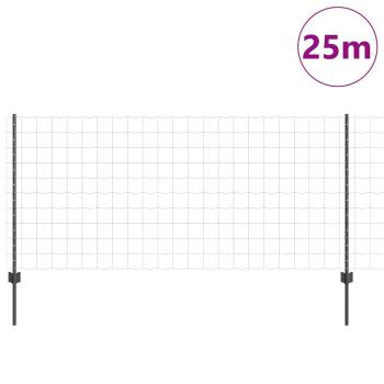 Gartenzaunset 2er Set Grau Pulverbeschichteter Stahl 25 x 1 m