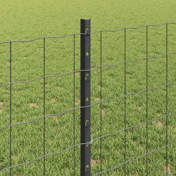 ARDEBO.de - Euro Zaun Set 2er Set Grau Stahl 10 x 0.8 m Langlebig