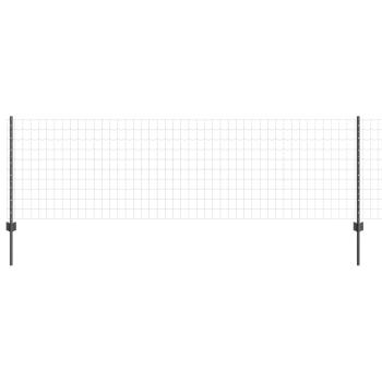 Euro Zaun Set 2er Set Grau Stahl 10 x 0.8 m Langlebig
