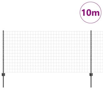 Gartenzaunset Set aus 2 Grau Pulverbeschichteter Stahl 10 x 1 m