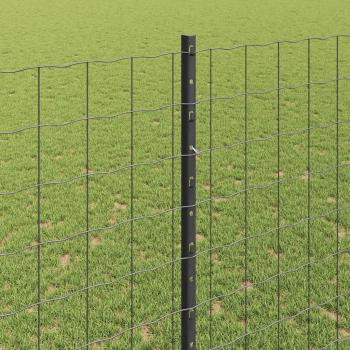 Euro-Zaun mit Pfosten 10 x 1,4 m PVC-beschichteter Stahl Grau