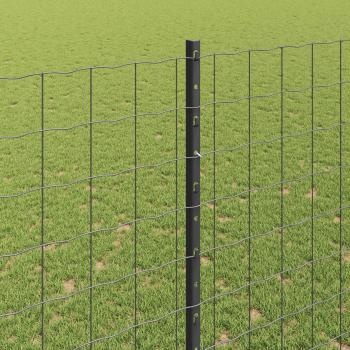Gartenzaun-Set Set aus 2 Grau Pulverbeschichtetes Metall