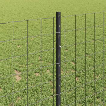 Gartenzaun Set 2er Set Grau Pulverbeschichteter Stahl 25 x 1 m