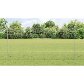 Euro-Zaunset Set aus 2 Verzinkter Stahl 10 m Langlebig