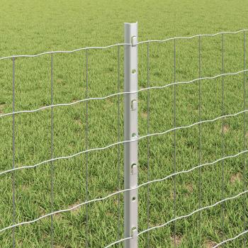 Euro Zaunset Set aus 2 Verzinkter Stahl 10 x 0.6 m Robust