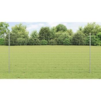 Gartenzaunrollen Set 2er Set Verzinkter Stahl 10 x 1,2 m