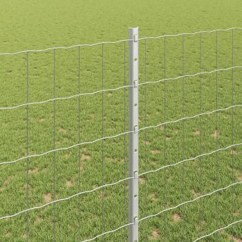 Eurozaun mit Pfosten 10 x 1,6 m Verzinkter Stahl Silber Netz