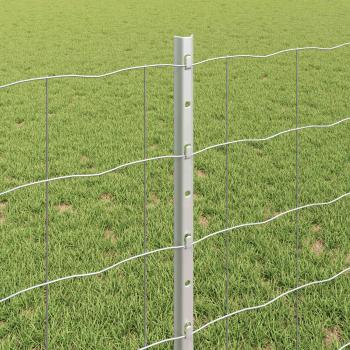 Euro-Zaun mit Pfosten 10 x 0,8 m Verzinkter Stahl Silber Netz