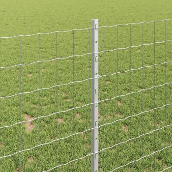 Gartenzaun Set 2er Set Verzinkter Stahl 25 x 1 m Langlebig