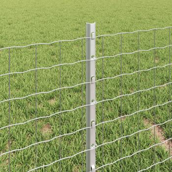 Euro-Zaun mit Pfosten 50 x 0,4 m Verzinkter Stahl Silber Netz