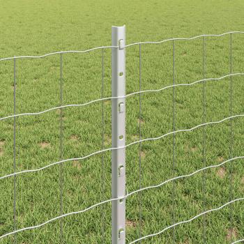 Euro-Zaun mit Pfosten 10 x 0,8 m Verzinkter Stahl Silber Netz