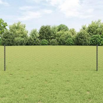 ARDEBO.de - Sechseckiger Gartenzaun Set Set aus 2 Grau Stahl 25 x 0.5m
