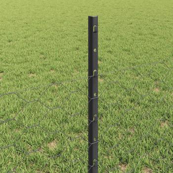 Sechseckiger Gartenzaun Set Set aus 2 Grau Stahl 25 x 0.5m