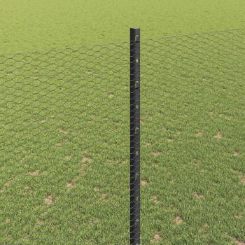 Gartenzaun-Set Set aus 2 Grau Stahl 1,5 m breit, 25 m lang