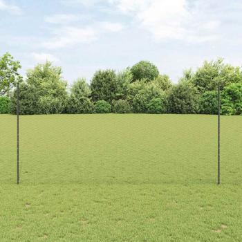 ARDEBO.de - Gartenzaunset Set aus 2 Grau Pulverbeschichteter Stahl 25 x 1,5 m