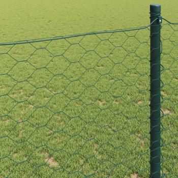 Sechseckgeflechtzaun 0,4 x 10 m PVC Grün