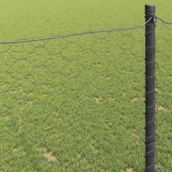 Sechseckzaun Grau 1,5x10 m Stahl