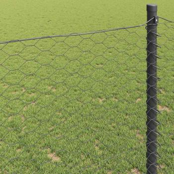 Sechseckzaun Grau 0.6x50 m Stahl