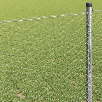 Schweißgitterzaun 0,8 x 25 m Verzinkter Stahl Silber