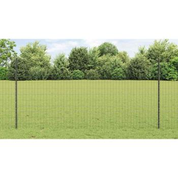 Euro Zaun mit 10 U-Posten Grau 1,2x10 m Stahl