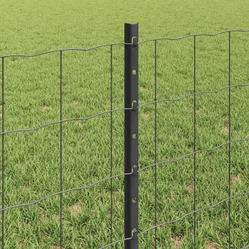 Euro Zaun mit 5 U-Posten Grau 0,6x10 m Stahl