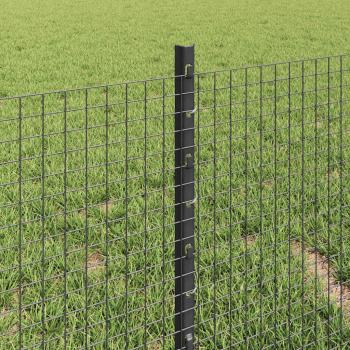 Geschweißter Drahtzaun mit 22 U Pfosten Grau 0,4x50 m Stahl