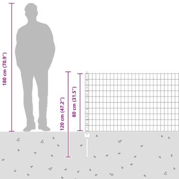 Eurozaun mit 5 U-Posts Grün 0,8x10 m Stahl