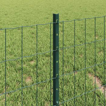 Euro-Zaun mit Pfosten 10 x 0,4 m PVC-beschichteter Stahl Grün