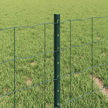 Eurozaun mit 5 U-Pfosten Grün 0,4x10 m Stahl