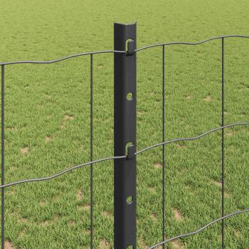 Eurozaun mit 10 U-Posts Grau 1,2x10 m Stahl