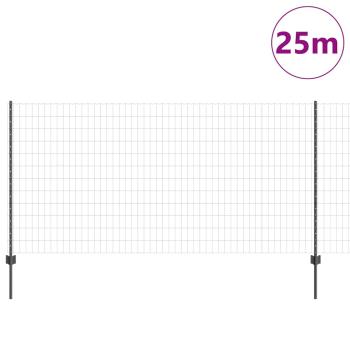 Euro Zaun Set von 2 Grau Metall Standard Robust Euro Zaun