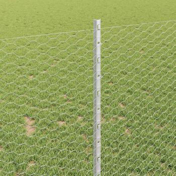 Zaunpfosten 10 Stück U-Profil 100 cm Verzinkter Stahl, Sechseckzaun 1x10 m Verzinkter Stahl