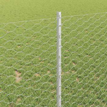 Zaunpfosten 10 Stück U-Kanal 100 cm galvanisierter Stahl, Sechseckzaun 1x10 m galvanisierter Stahl