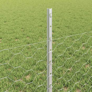 Zaunpfosten 11 Stück U-Profil 60 cm verzinkter Stahl, Sechseckzaun 0,5x50 m verzinkter Stahl