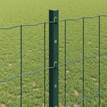 Euro Zaun mit 5 U-Pfosten Grün 1,2x10 m Stahl