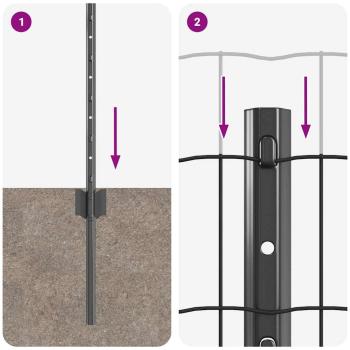 Euro-Zaun mit 5 U-Posts Grau 0.8x10 m Stahl