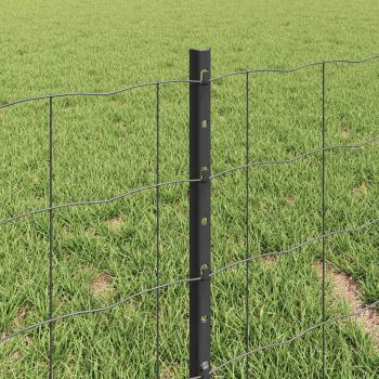 Euro Zaun mit 5 U-Pfosten Grau 0.4x10 m Stahl
