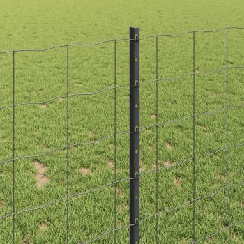 Gartenzaunset Set aus 2 Grau Pulverbeschichteter Stahl 10 x 1 m