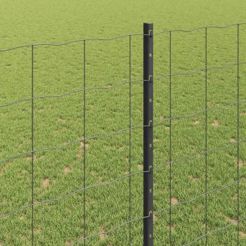 Euro Zaun mit 10 U-Stangen Grau 1,4x10 m Stahl