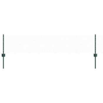 Sechseckiges Gartenzaun-Set Set von 2 Grün