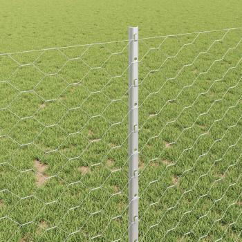 Zaunpfosten 10 Stück U-Kanal 100 cm Verzinkter Stahl, Sechseckzaun 1x10 m Verzinkter Stahl