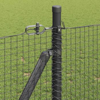 Geschweißter Drahtzaun mit 13 Flanschpfosten Grau 0.8x100 m Stahl