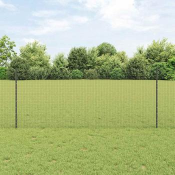 ARDEBO.de - Gartenzaunset Set aus 2 Grau Metall 10 x 1 m Robust