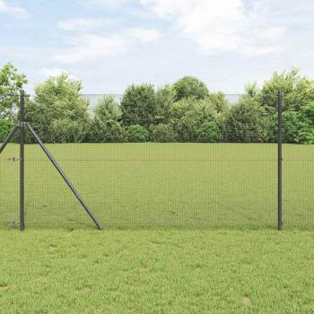 ARDEBO.de - Graues Zaunpfosten-Set Set aus 2 Grau Metall 10 x 1 m Langlebig