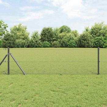 ARDEBO.de - Geschweißter Drahtzaun mit 13 Pfosten Grau 0,8x100 m Stahl