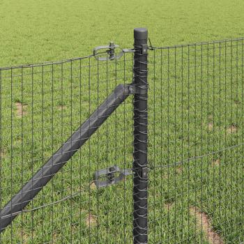 Zaunpfahl-Set Set aus 2 Grau Metall 10 x 0.5 m Langlebig